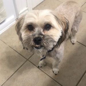 Meet your Posher, Beverly